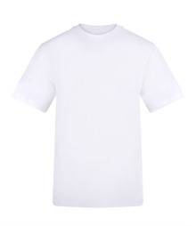 The AWDis 180 T