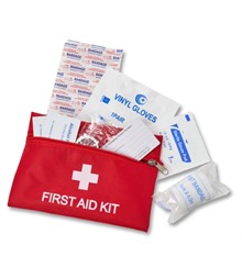 Travel first aid kit