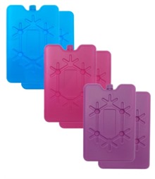 Large freezer blocks (2-pack)