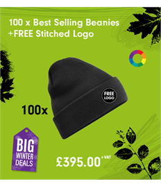 100 x Best Selling Beanies